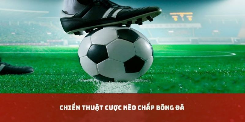 Chiến thuật cược hiệu quả cho tân thủ