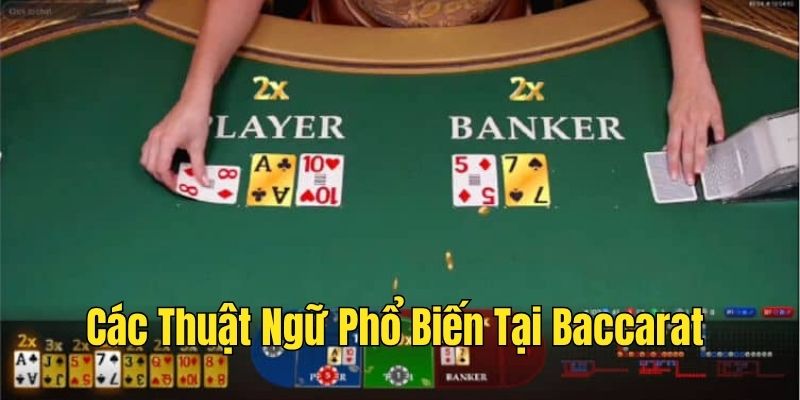 Thuật ngữ phổ biến của game bài Baccarat